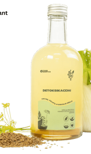 Fermentuotas probiotinis gėrimas „Detoksikacijai”