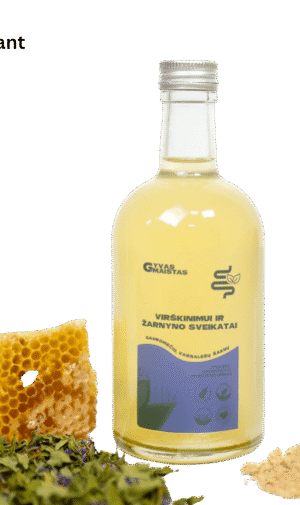 Fermentuotas probiotinis gėrimas „Virškinimui ir žarnyno sveikatai”