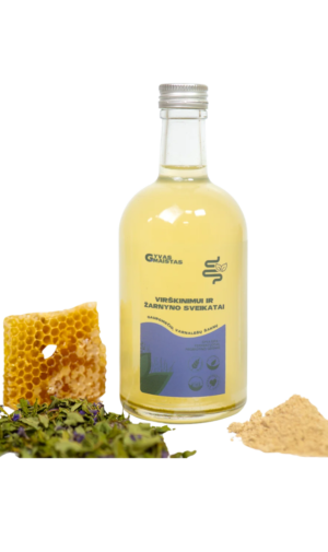 Fermentuotas probiotinis gėrimas „Virškinimui ir žarnyno sveikatai”